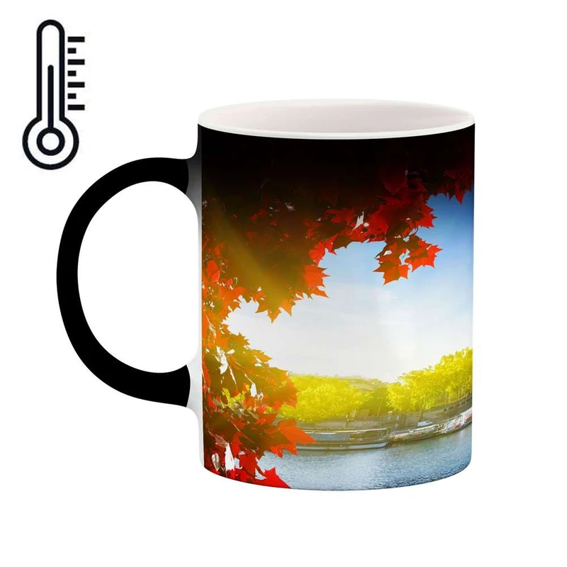 ماگ حرارتی کاکتی مدل شهر کد mgh13454