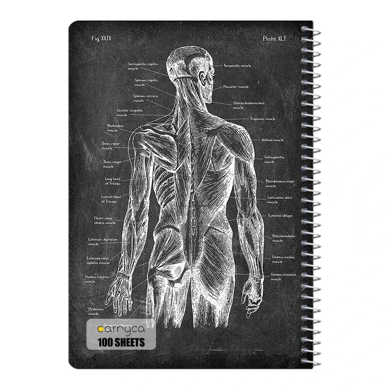 دفتر شطرنجی 100 برگ سیمی کارنیکا طرح روزنامه وینتج آناتومی بدن Vintage Newspaper Anatomy کد 21852