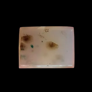 سنگ عقیق شجر مدل نگین مستطیل کد ash21