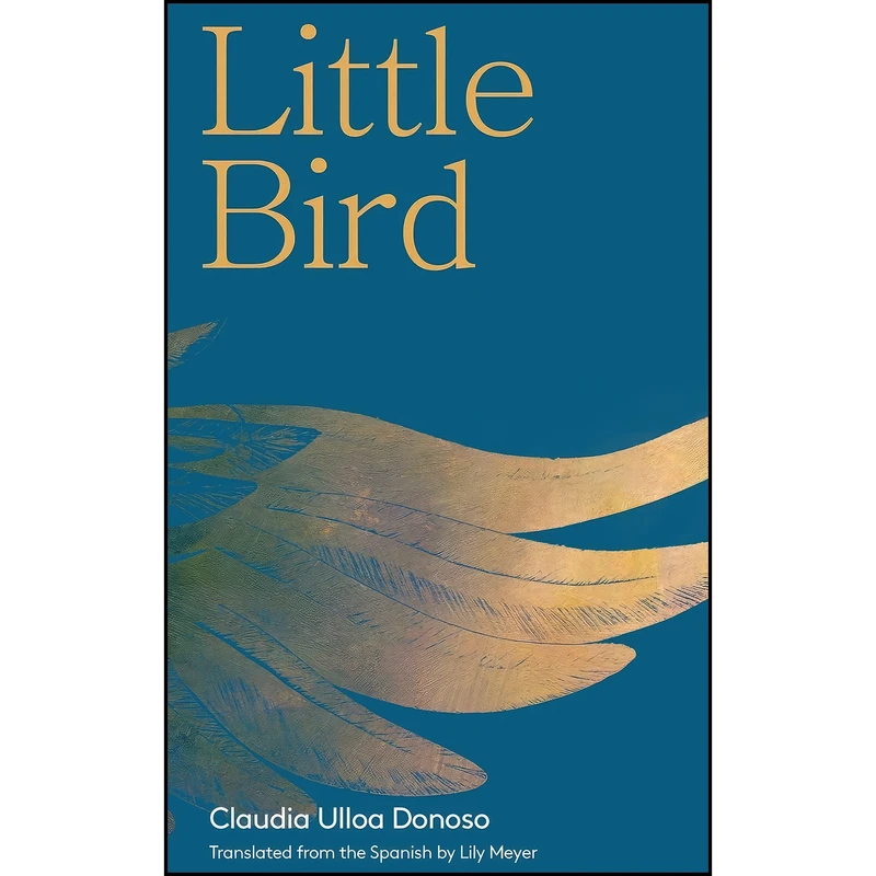 کتاب Little Bird اثر Claudia Ulloa Donoso and Lily Meyer انتشارات Deep Vellum Publishing