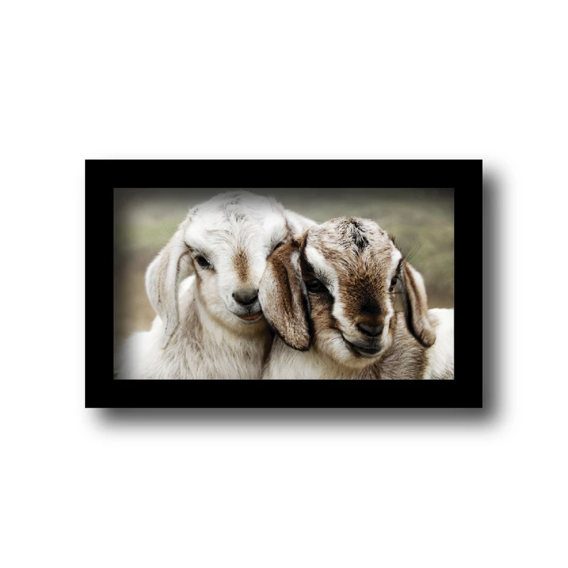 تابلو مدل بره های ناقلا.کد km-10