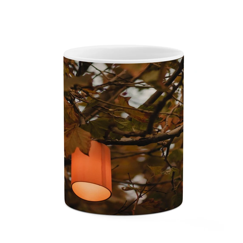 ماگ کاکتی مدل فانتزی کد mgh17236