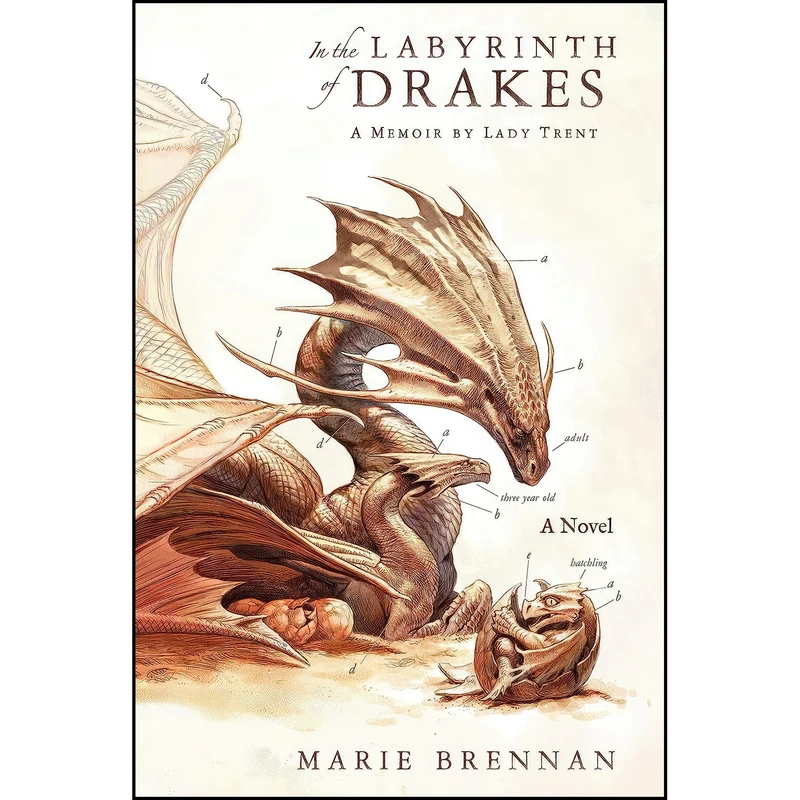 کتاب In the Labyrinth of Drakes اثر Marie Brennan انتشارات Tor Books