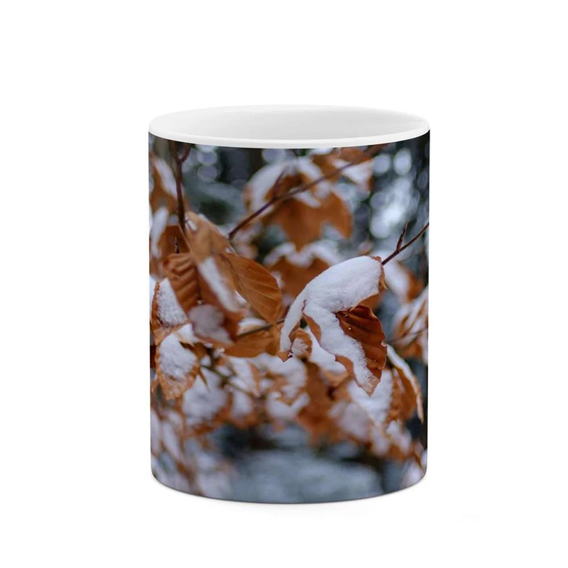 ماگ کاکتی مدل منظره کد mgh16320