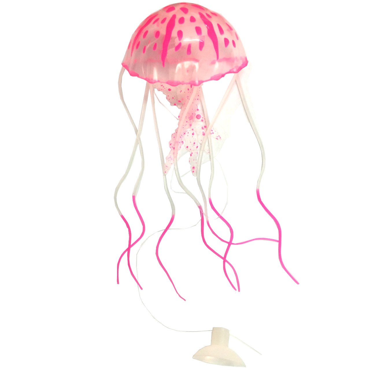 عروس دریایی صورتی رنگ مدل Fluorescent سایز کوچک