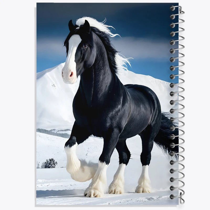 دفتر نقاشی 50 برگ خندالو طرح اسب کد F5324