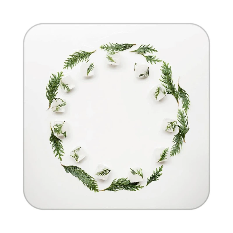 زیر لیوانی کاکتی طرح گل مدل mp19303