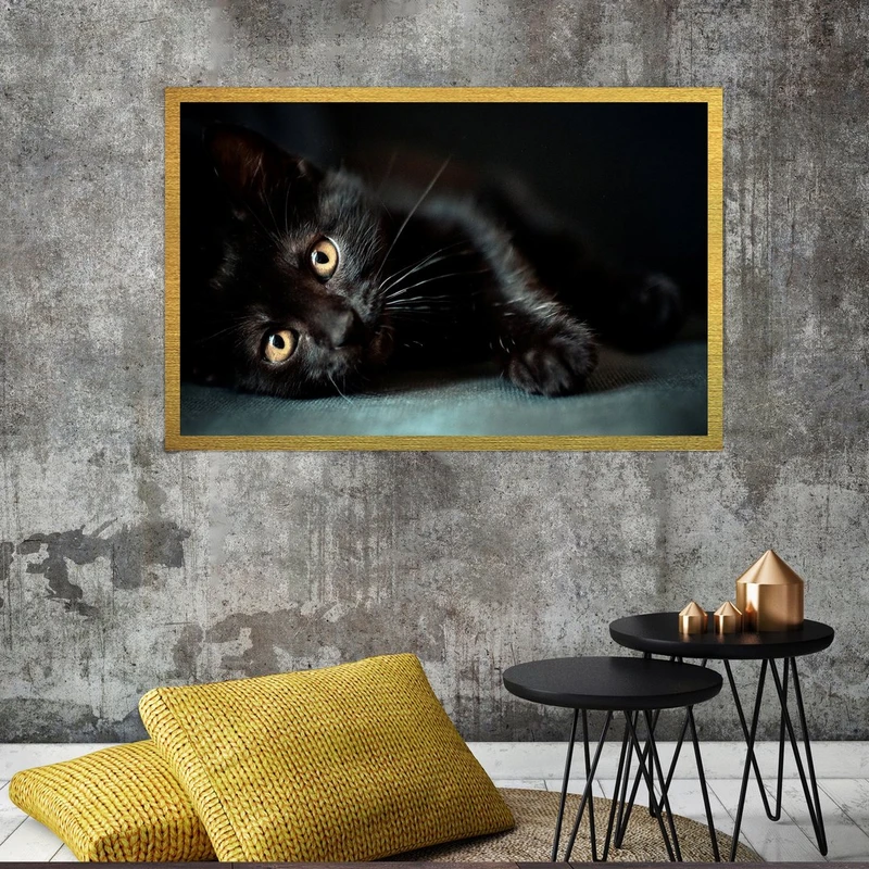 تابلو بکلیت طرح گربه مدل قاب شاسی T-S7636