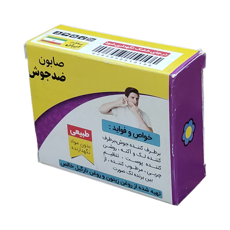 صابون شستشو گیاهستان حکیم مدل ضد جوش وزن 70 گرم بسته 3 عددی صابون شستشو گیاهستان حکیم مدل ضد جوش وزن 70 گرم بسته 3 عددی