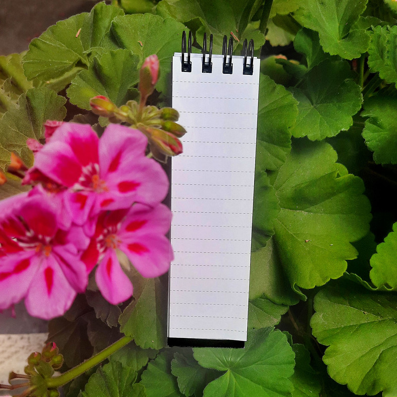 بسته لوازم تحریر پدیده نقش مدل مهتاب بسته 3 عددی