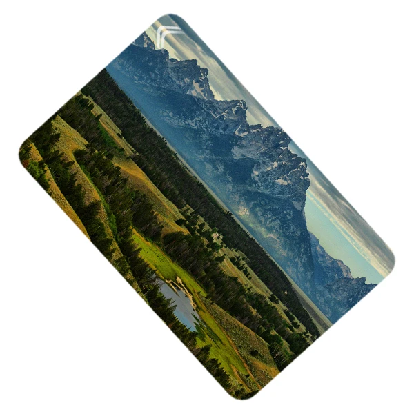 استیکر کارت طرح طبیعت مدل CAC337-K-G1-140