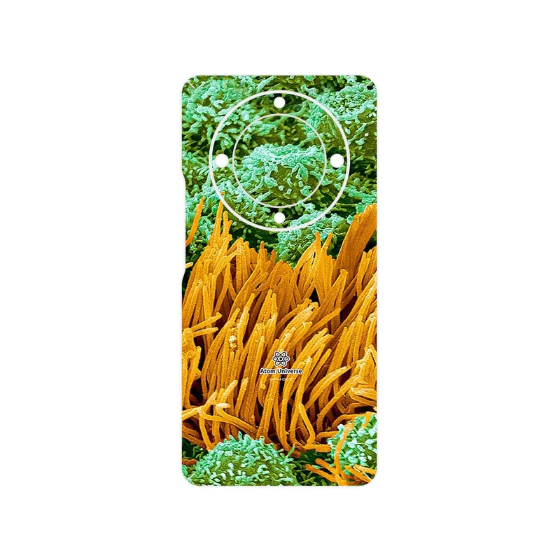 برچسب پوششی ماهوت مدل Atom Universe 6 مناسب برای گوشی موبایل آنر Magic 5 Lite