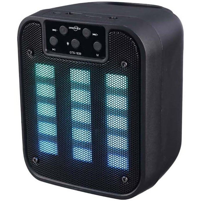 اسپیکر قابل حمل گریت نایس مدل GTS-1839