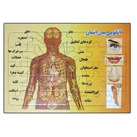 پازل 30 تکه مدل آناتومی بدن انسان مناسب برای گروه سنی 7 الی 12 سال