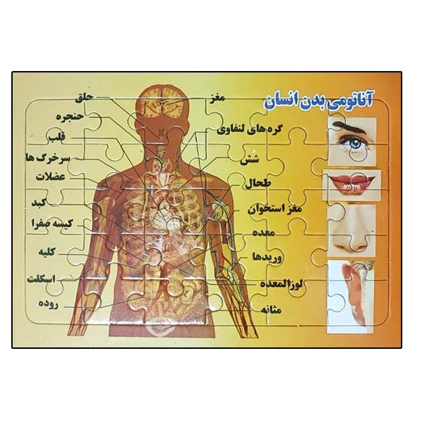 پازل 30 تکه مدل آناتومی بدن انسان مناسب برای گروه سنی 7 الی 12 سال
