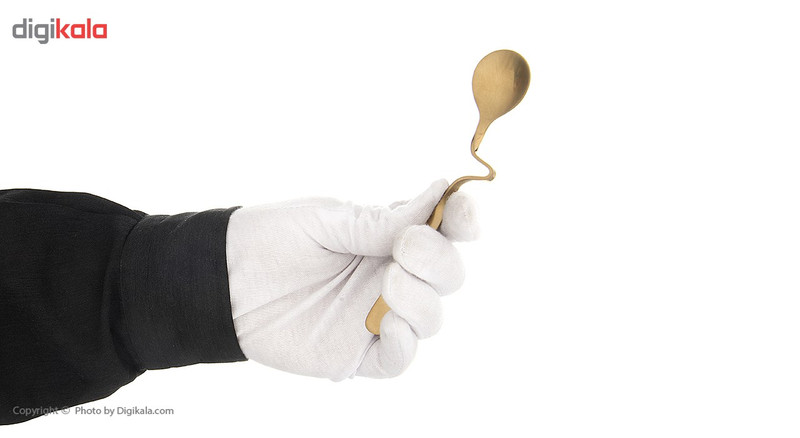 قاشق عسل خوری صنایع استیل ایران مدل پاشا