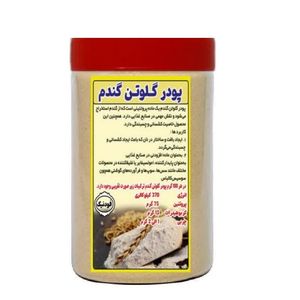 گلوتن گندم ممتاز فودنیک - 800 گرم