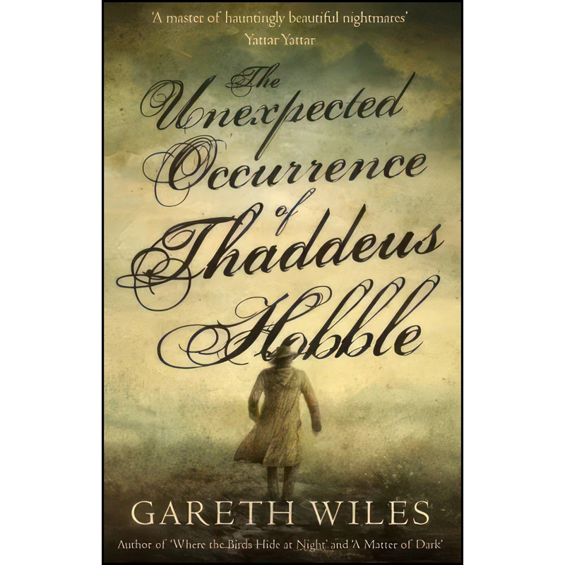 کتاب The Unexpected Occurrence of Thaddeus Hobble اثر Gareth Wiles انتشارات Troubador Publishing Ltd