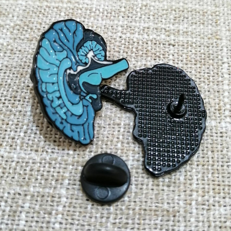 سنجاق سینه مدل روانشناسی سنجاق سینه مدل روانشناسی