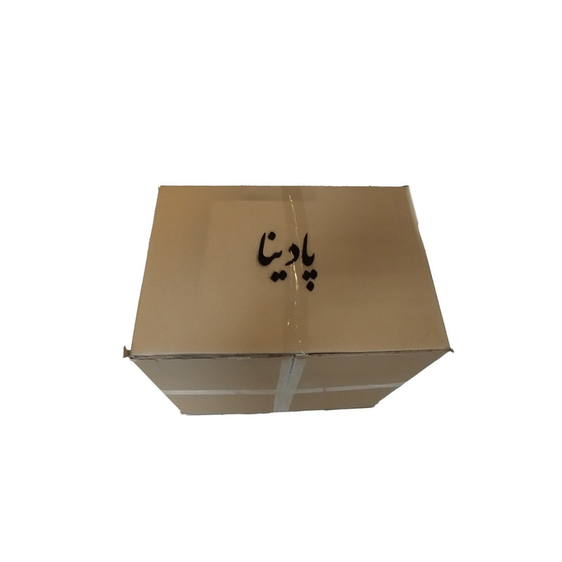 لوستر پادینا مدل مدرن کد D250