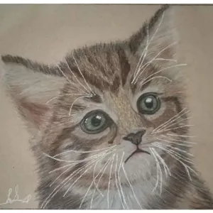 نقاشی پاستل گچی طرح گربه مقوای کرافت