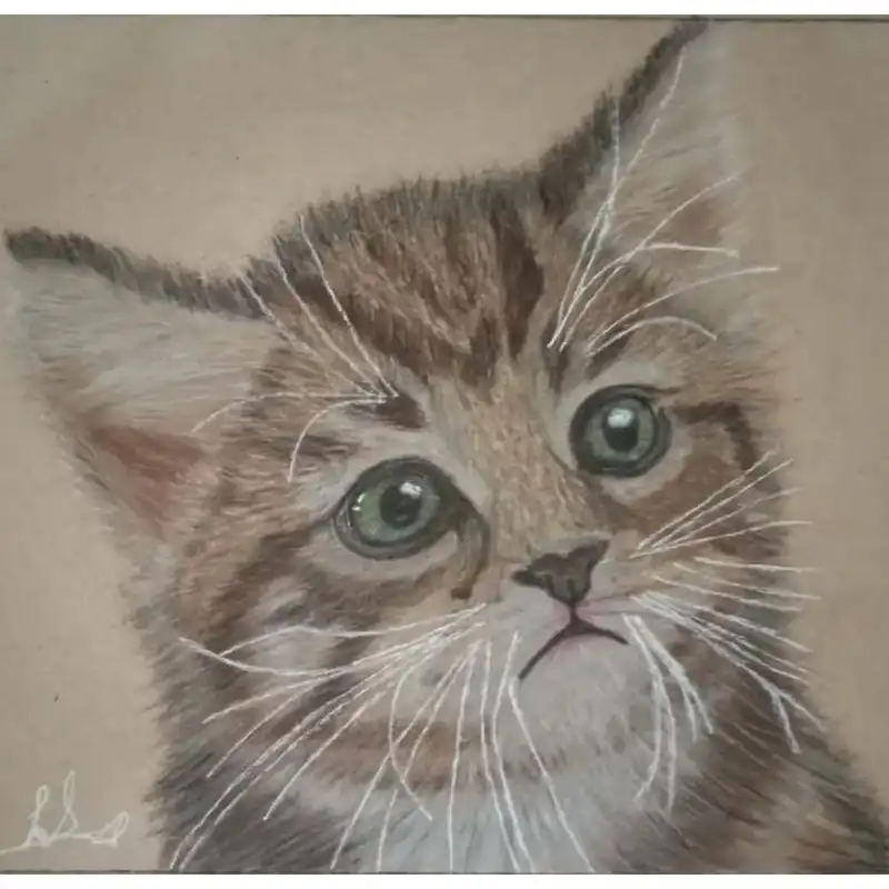 نقاشی پاستل گچی طرح گربه مقوای کرافت