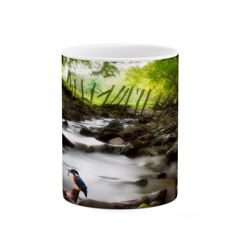 ماگ کاکتی طرح طبیعت کد mgp11397