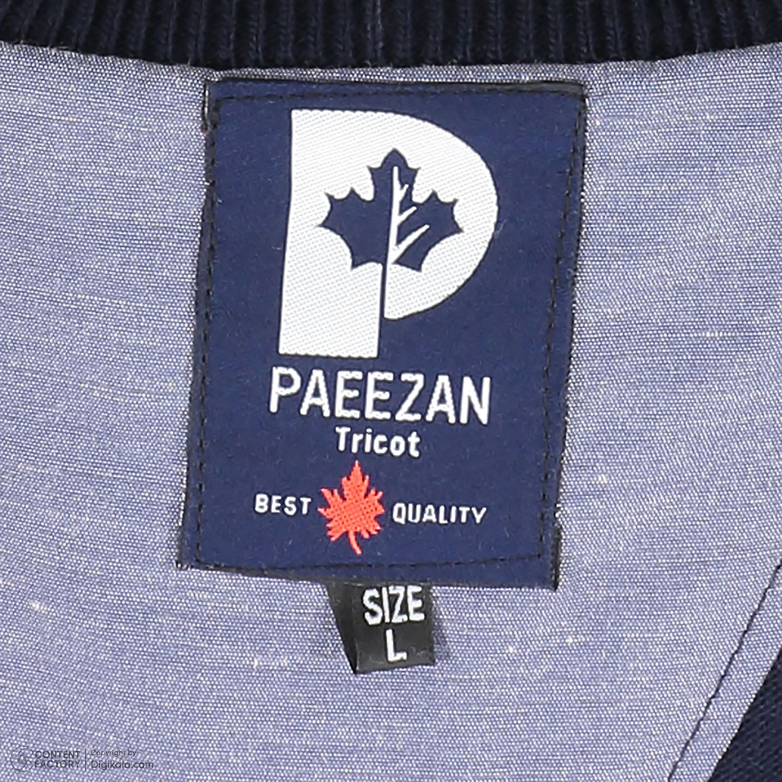 پلیور مردانه تریکو پاییزان مدل ARN یقه هفت رنگ سرمهای - - 9