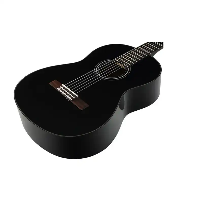 گیتار دیوید راسل مدل C40