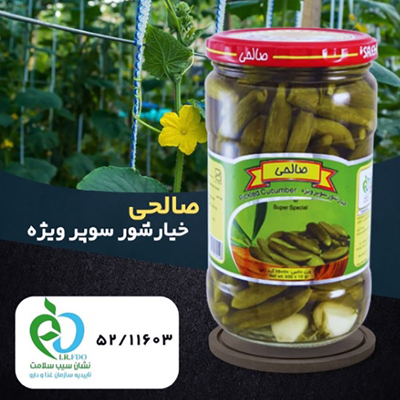خیارشور ریز پاستوریزه صالحی -  650 گرم مجموعه 3 عددی