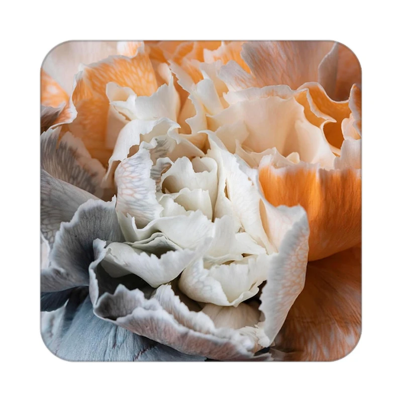 زیر لیوانی کاکتی طرح گل مدل mp16155