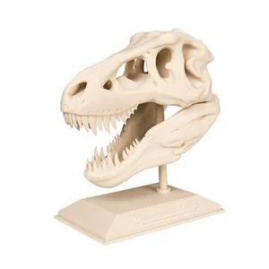 استند خودرو طرح جمجمه دایناسور مدل T-Rex50