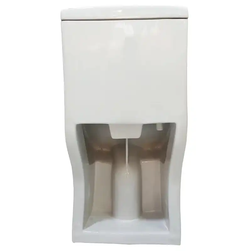 توالت فرنگی دو زمانه سینا چینی مدل آرینا