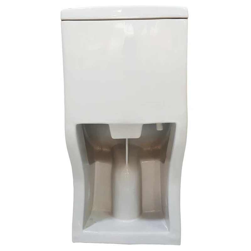 توالت فرنگی دو زمانه سینا چینی مدل آرینا