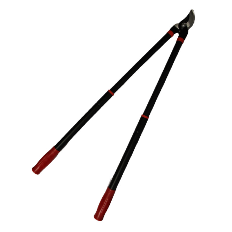 قیچی شاخه زن رانگ مدل تلسکوپی