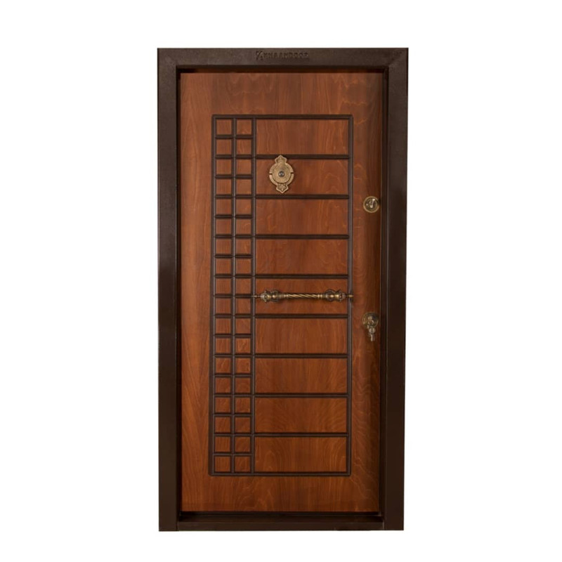 در ورودی مدل یک طرف بیسکویتی