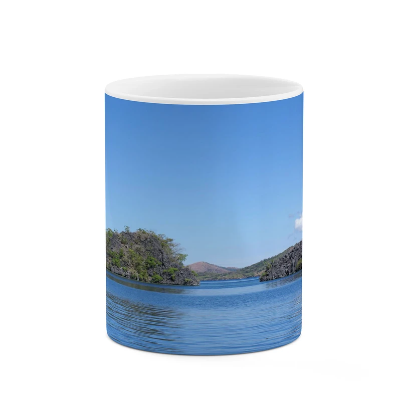 ماگ کاکتی مدل منظره کد mgh17757