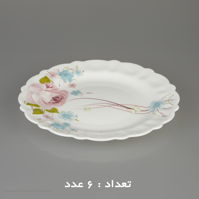 سرویس غذا خوری 25 پارچه آیروپال طرح کنگره مدل پیکو