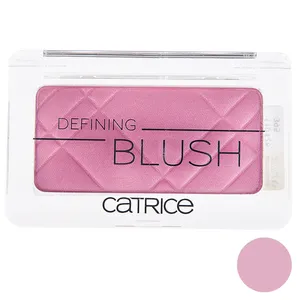 رژ گونه کاتریس مدل Defining شماره 110