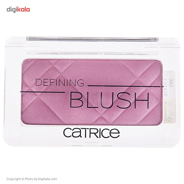 رژ گونه کاتریس مدل Defining شماره 110