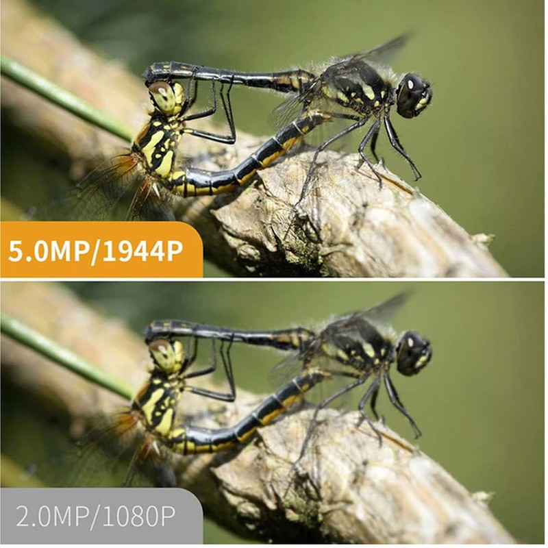 دوربین شلنگی مدل اتوفوکوس 20METERS HARD WIRE HD