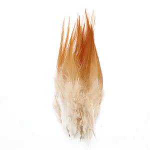 پر دریم کچر مدل rooster کد BR-01 بسته ۱۰ عددی