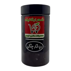 رب انار جنگلی شهر ارگانیک - 700 گرم
