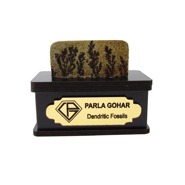 سنگ راف شجر فسیلی پارلا گوهر کد 2194