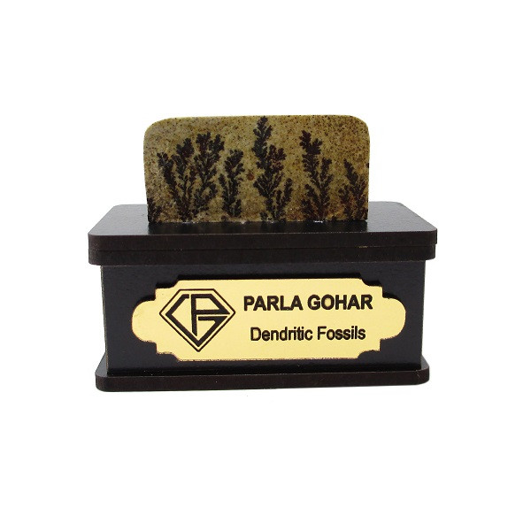 سنگ راف شجر فسیلی پارلا گوهر کد 2194