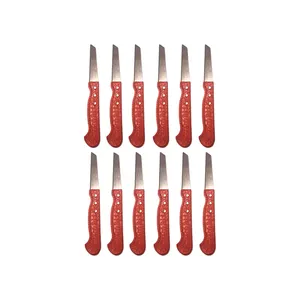 کارد میوه خوری مدل V 120 بسته 12 عددی