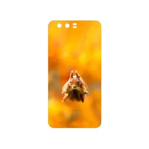 MAHOOT Squirrel Cover Sticker for Honor 9
