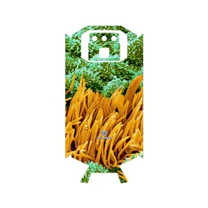 MAHOOT Atom Universe 6 Cover Sticker for Doogee S70