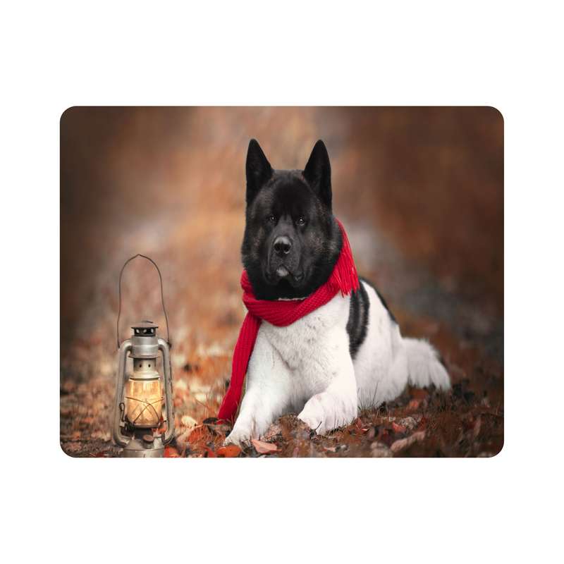 ماوس پد اطلس آبی طرح سگ آکیتا و فانوس  مدل T7663