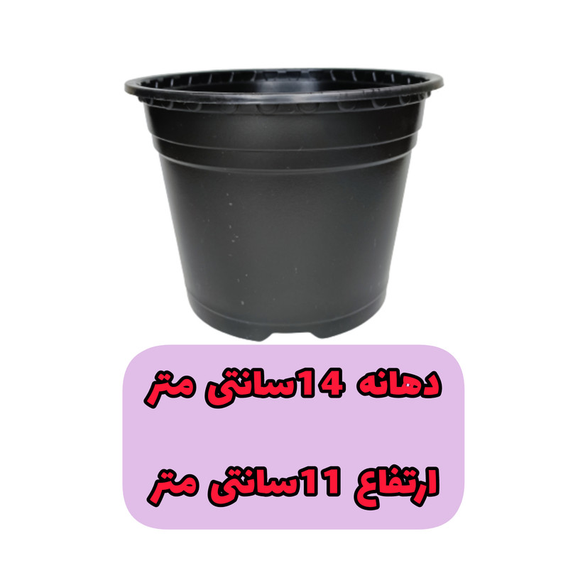 گلدان مدل ژله ای کد A_14 بسته 20 عددی